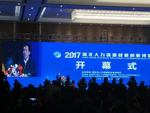 2017湖北人力资源就业创业博览会在汉隆重举行