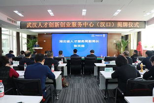 加快江汉人力资源服务产业集聚 武汉人才创新创业服务中心 汉口 揭牌成立