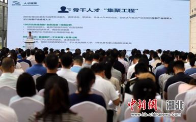 武汉开发区公布产业、人才、三创政策升级版