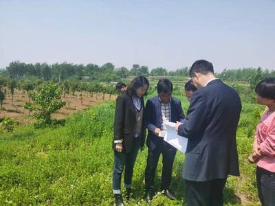 议事苑 |技术“翻译官”变成项目“服务员”,仪征用足科技镇长团资源