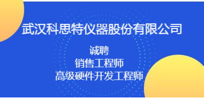 武汉招聘网 武汉人才网 武汉招聘信息 智联招聘