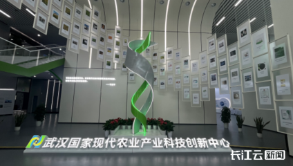 武汉国家农创中心综合服务基地揭牌
