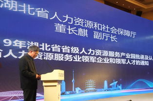 上海外服武汉公司荣获首届湖北人力资源服务业领军企业荣誉称号