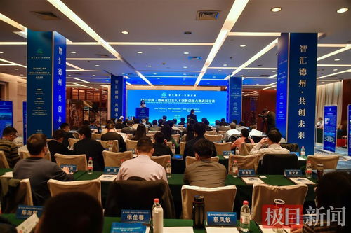 2021中国 德州高层次人才创新创业大赛 武汉分赛在汉成功举办