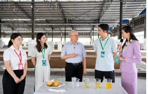 乌江轻盐榨菜的领跑密码 创新工艺 领先技术 健康理念 严苛标准