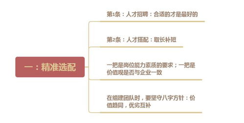 菊厂 三位一体 人才管理法则 精准选配 有效激励 加速成长